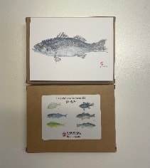 Notecards