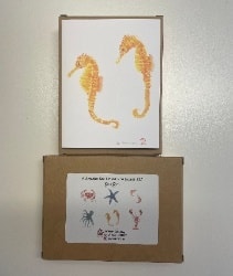 Sea Creature Notecards