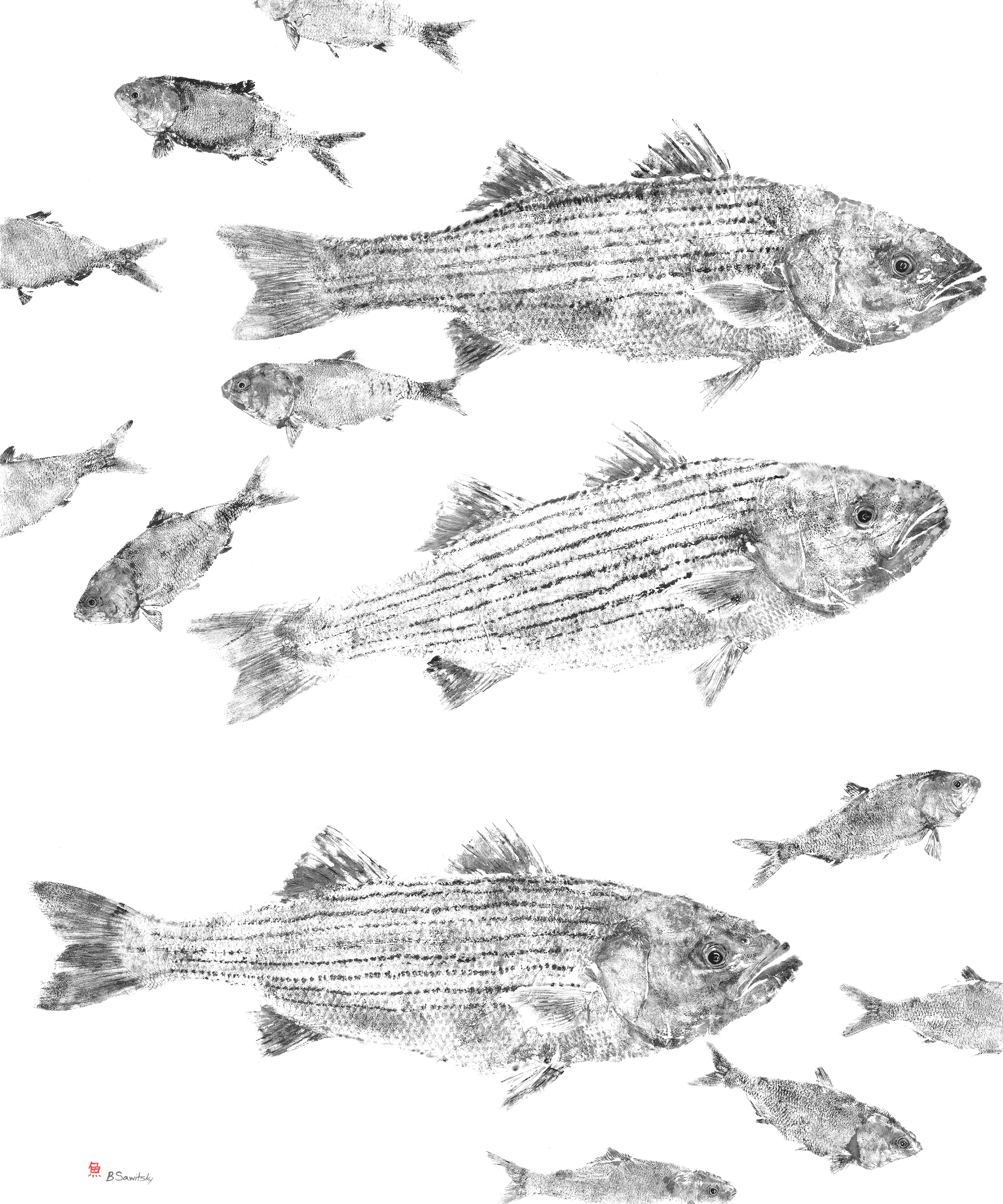 Feeding Time — Gyotaku school print by Bridget Sawitsky