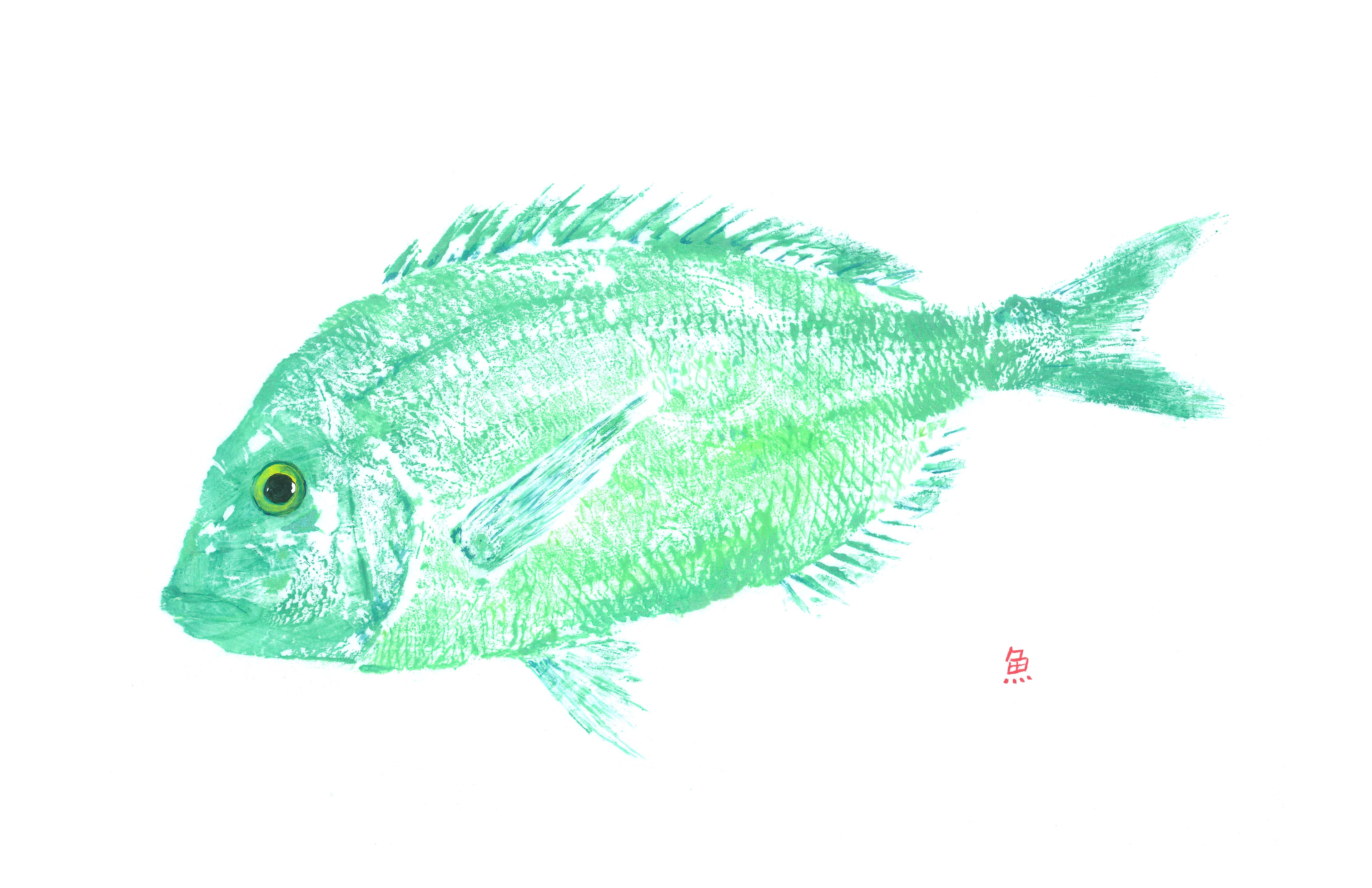 Green Porgy — Gyotaku print by Bridget Sawitsky