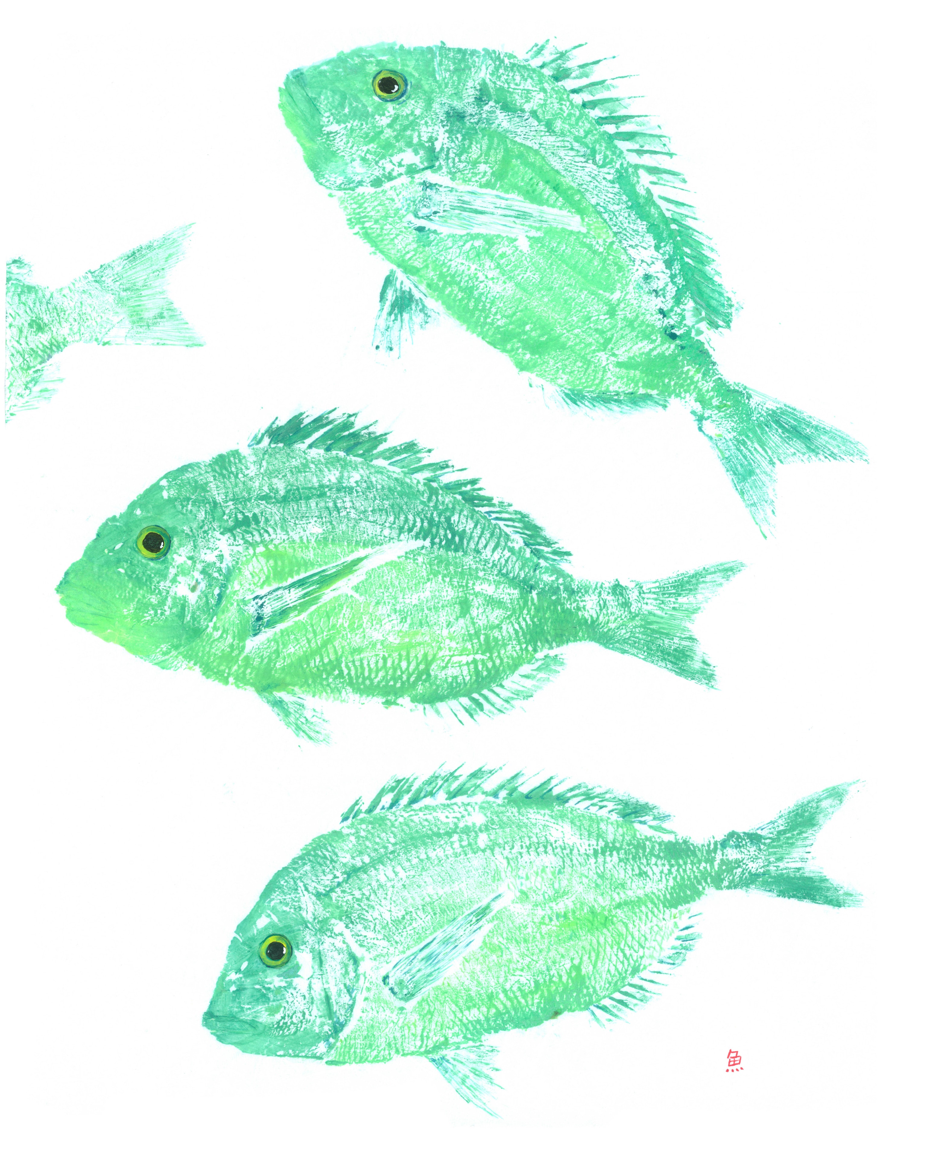 Green Porgy School — Gyotaku school print by Bridget Sawitsky
