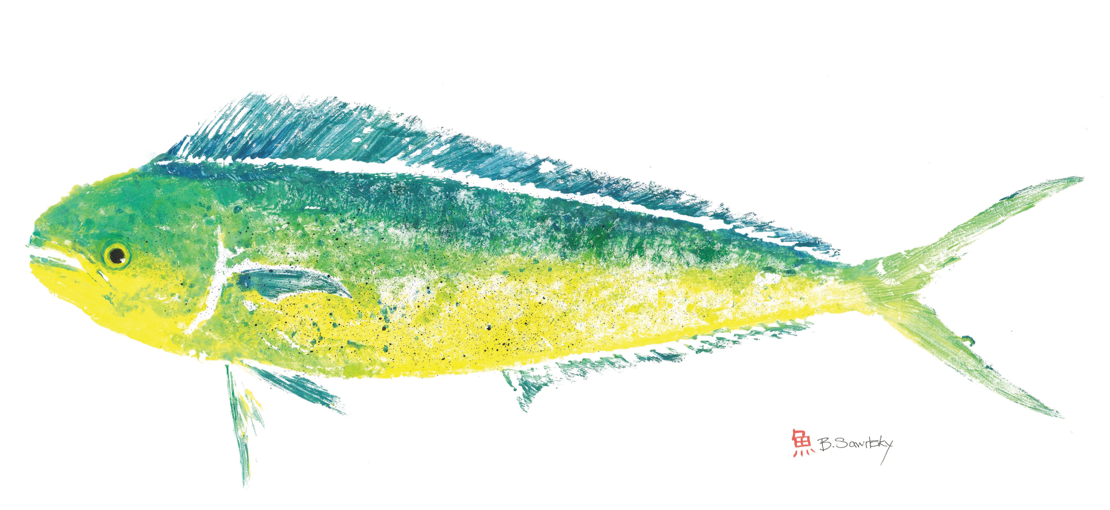 Mahi-mahi — Gyotaku print by Bridget Sawitsky