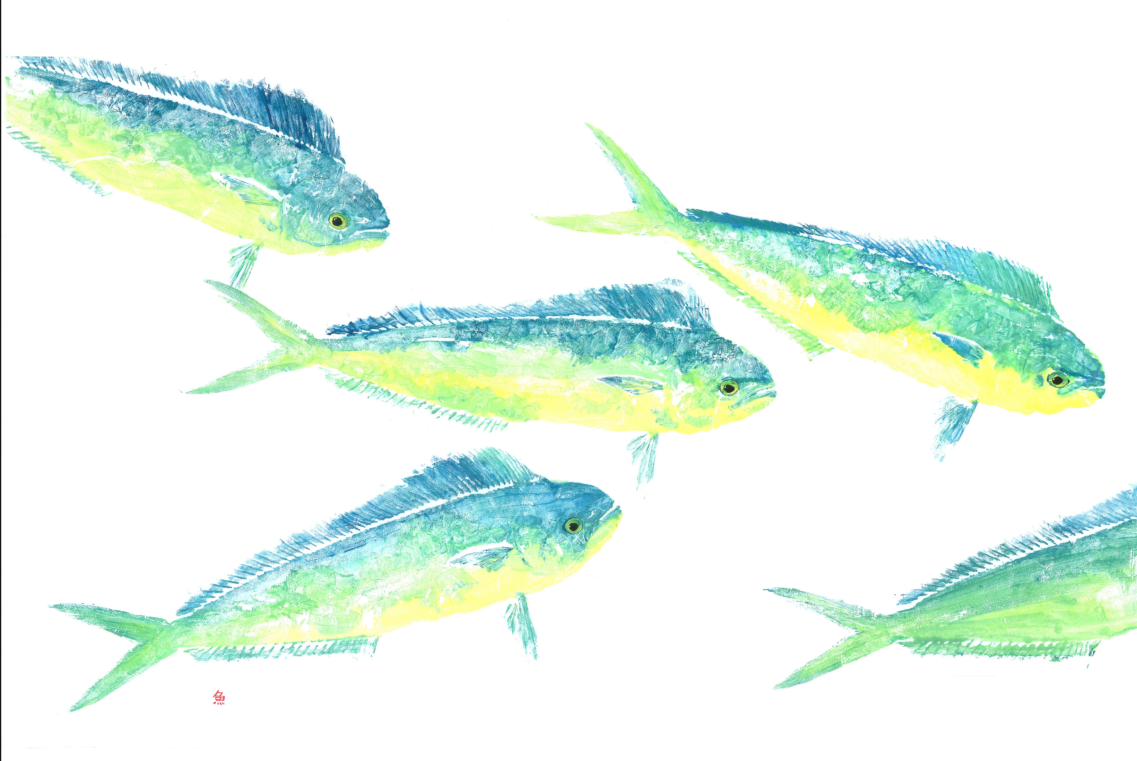 Mahi School — Gyotaku school print by Bridget Sawitsky