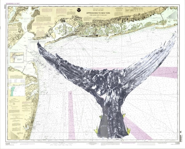 Map and Whale Tail — Gyotaku print