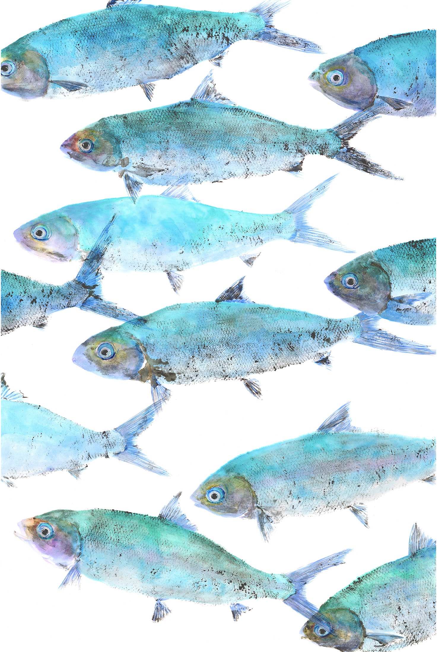 Milkfish School — Gyotaku print