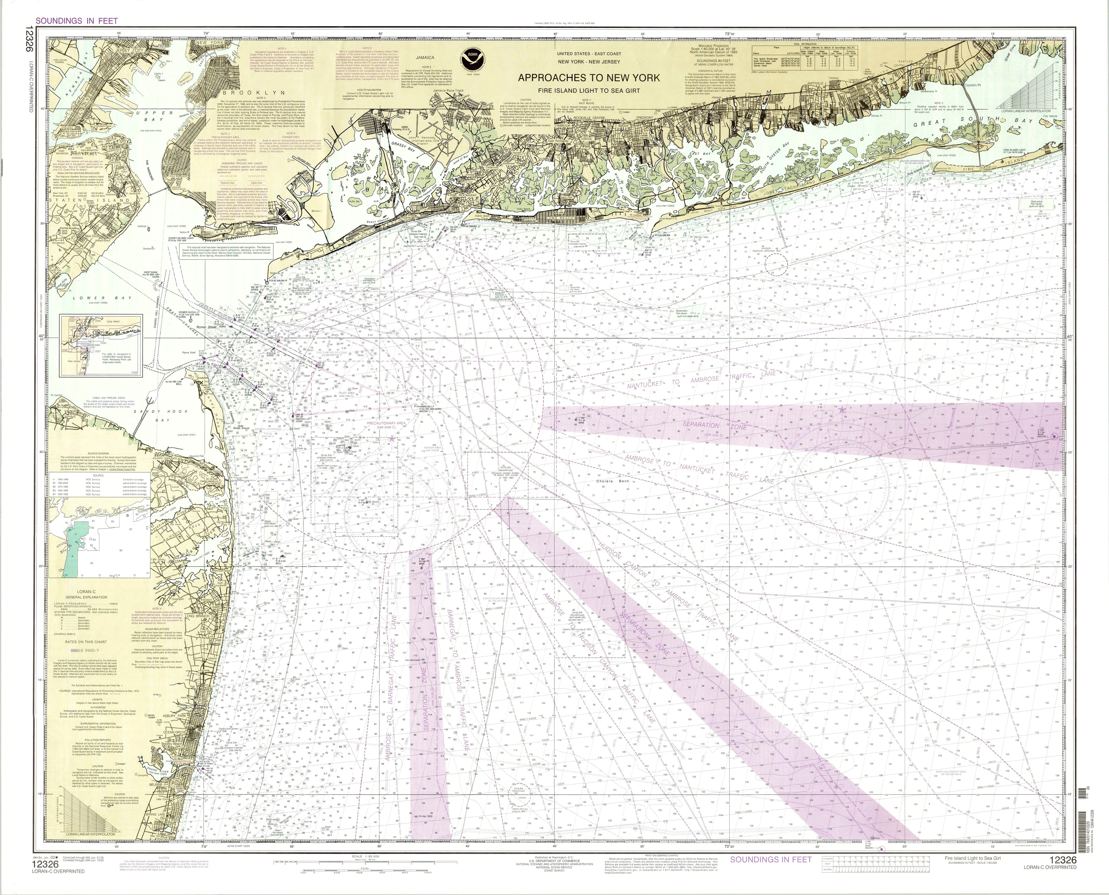 Nautical Chart — Approaches to New York — Gyotaku print by Bridget Sawitsky