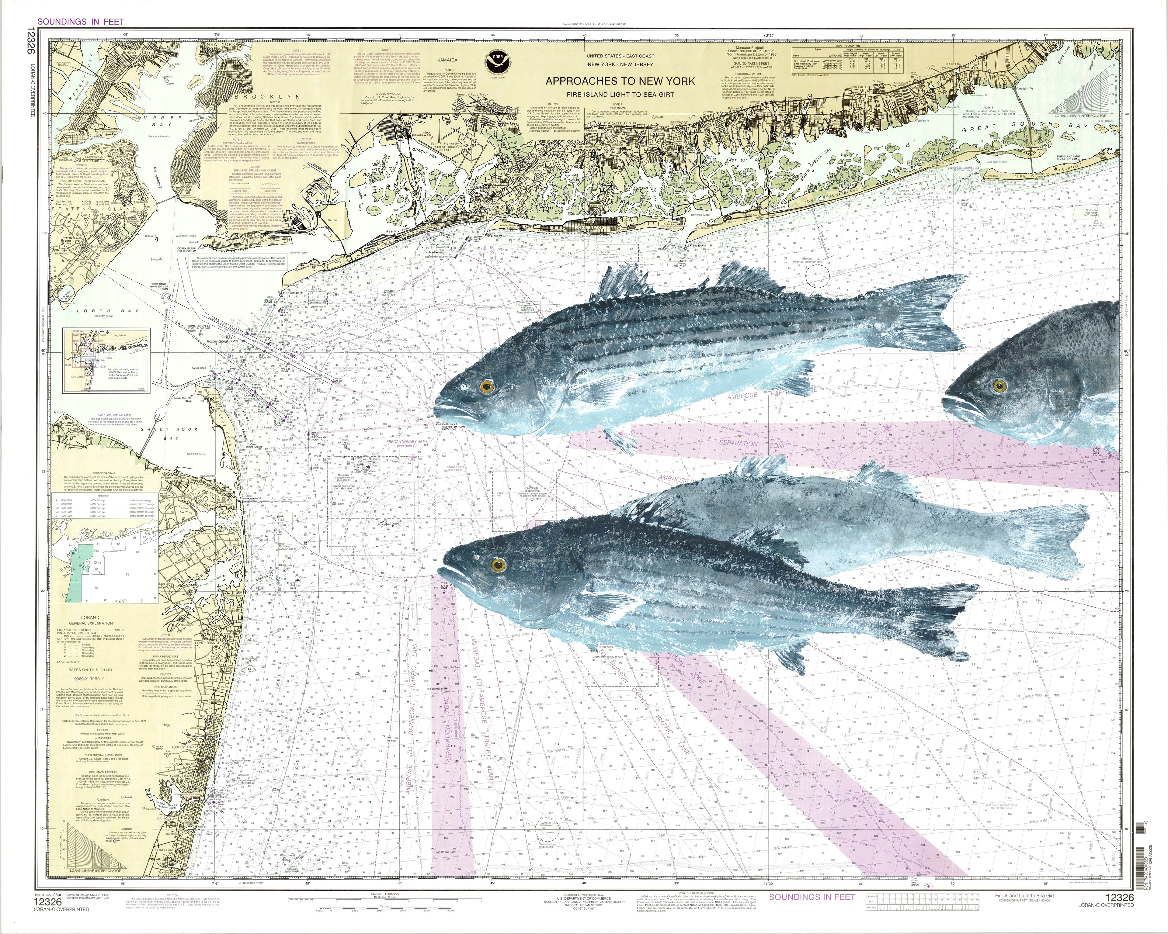 Nautical Chart with Striper School — Gyotaku school print by Bridget Sawitsky