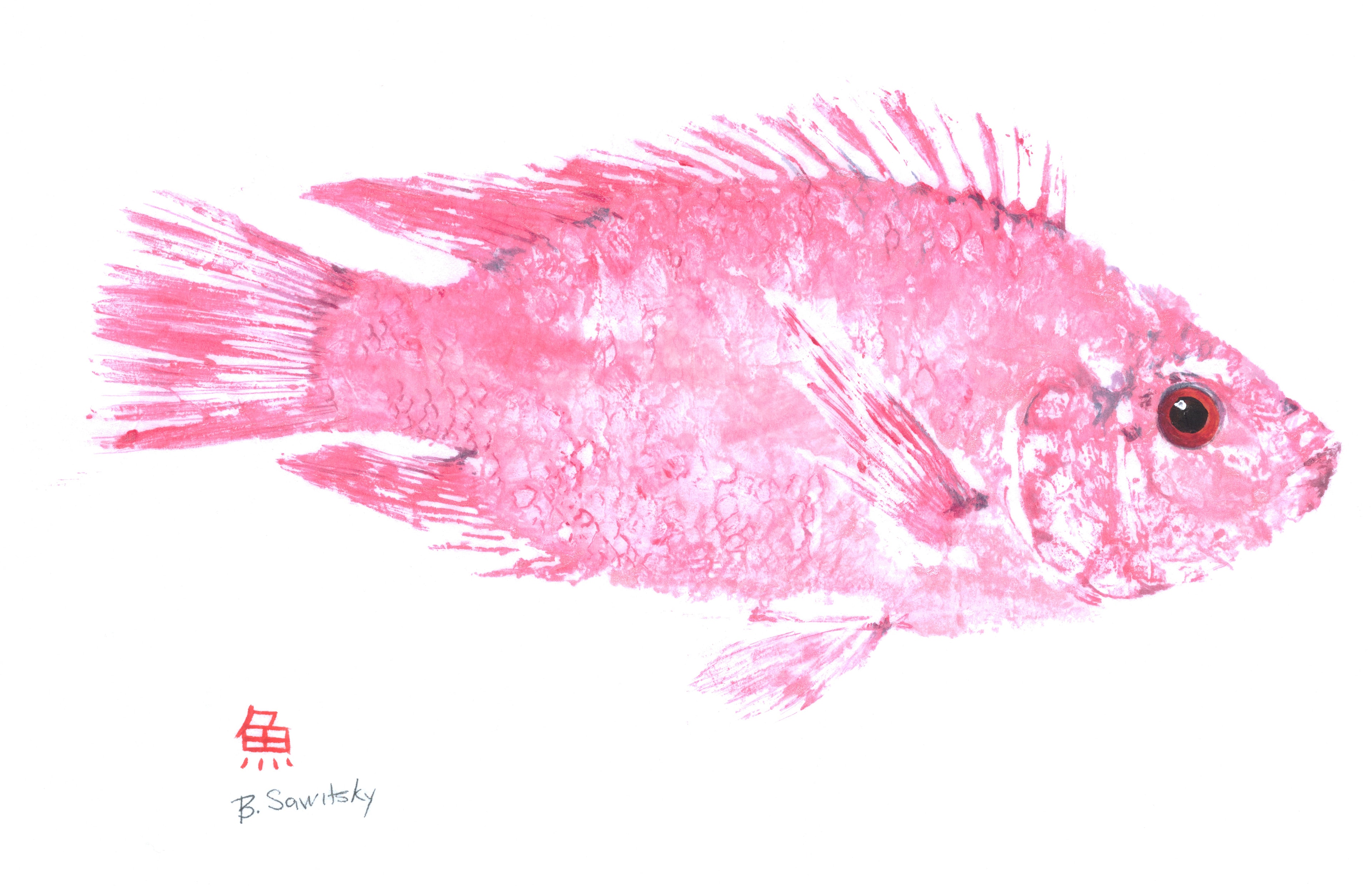 Pink Tilapia — Gyotaku print by Bridget Sawitsky