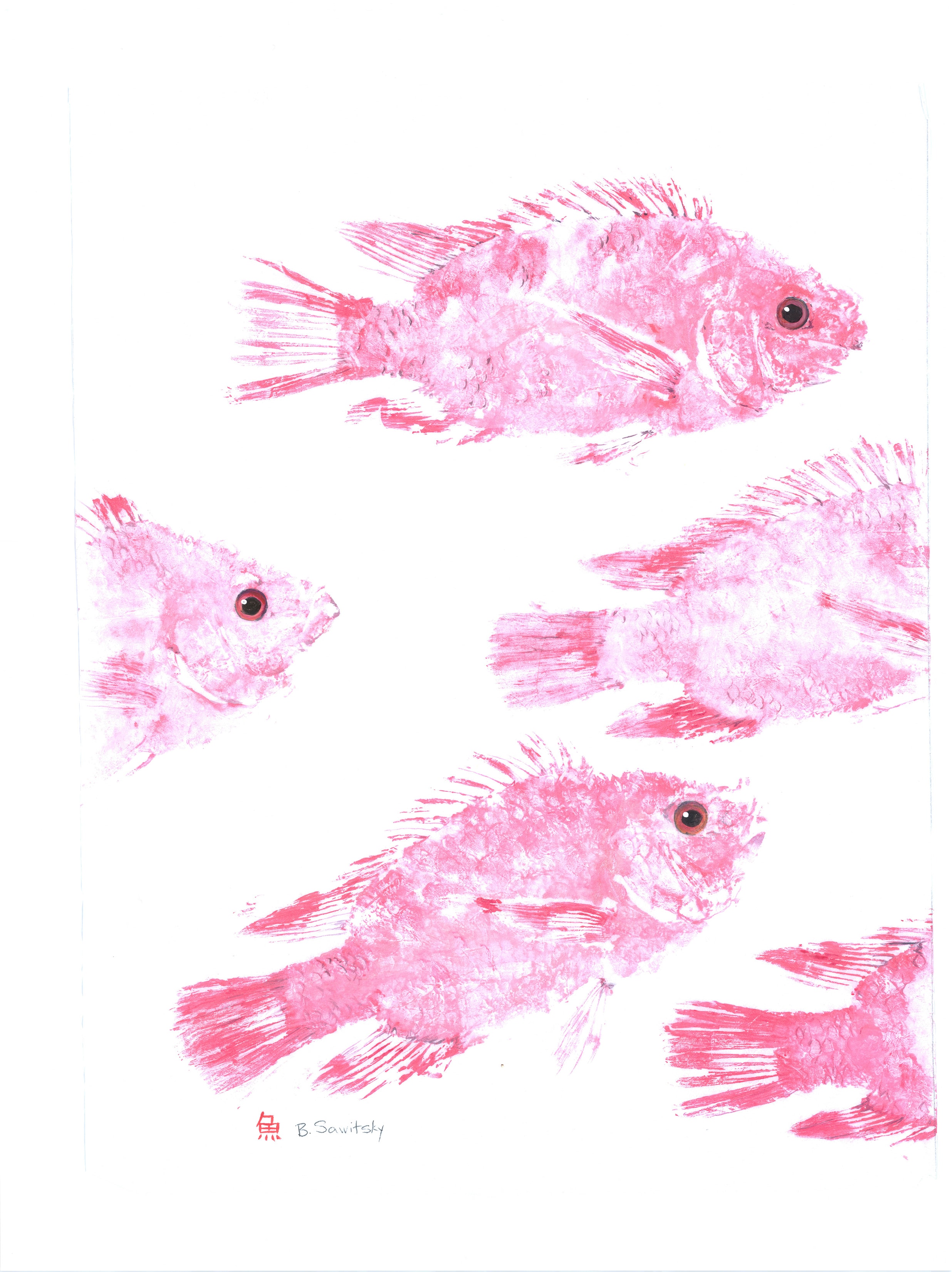 Pink Tilapia School — Gyotaku school print by Bridget Sawitsky