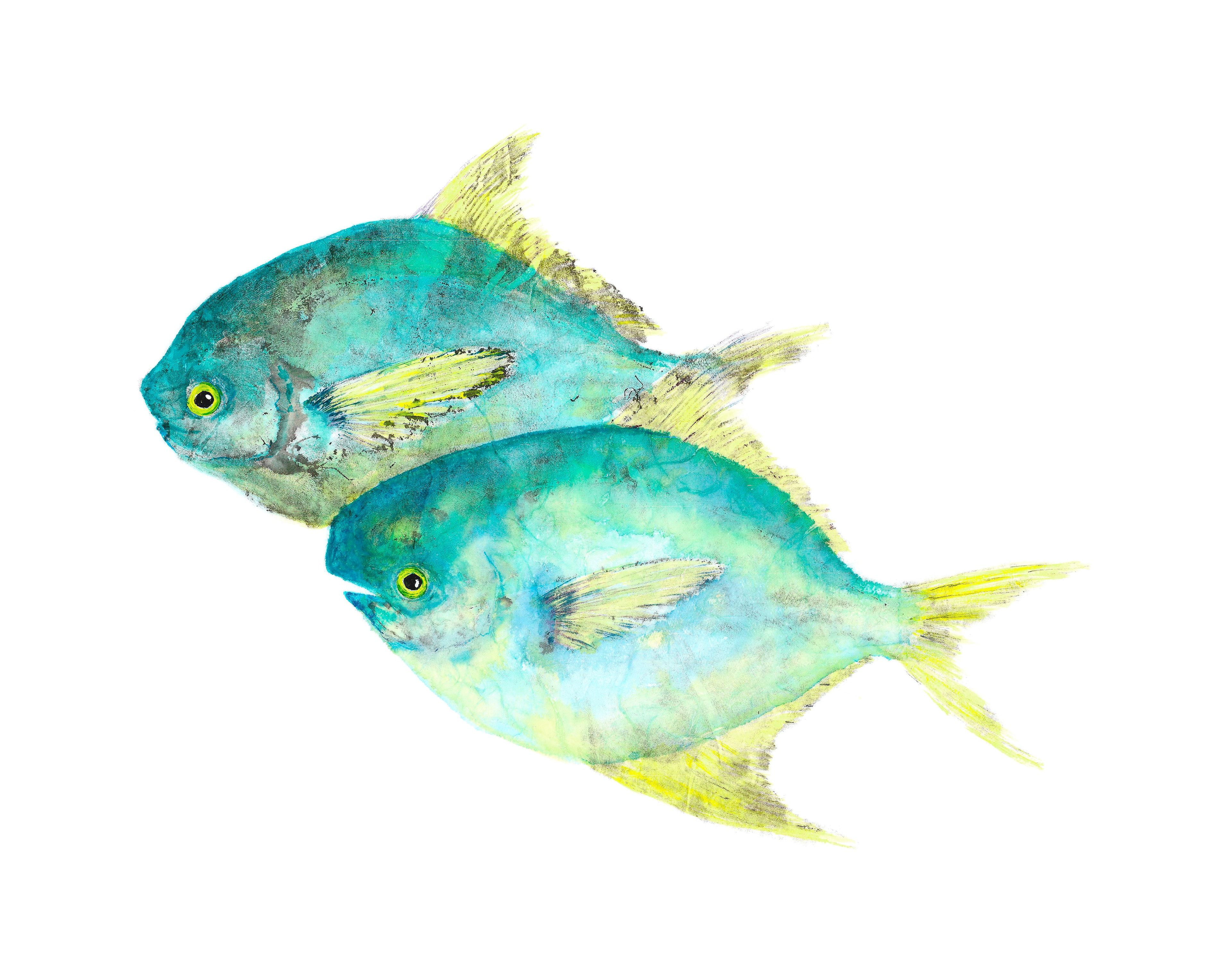 Pompano Duo — Gyotaku print by Bridget Sawitsky