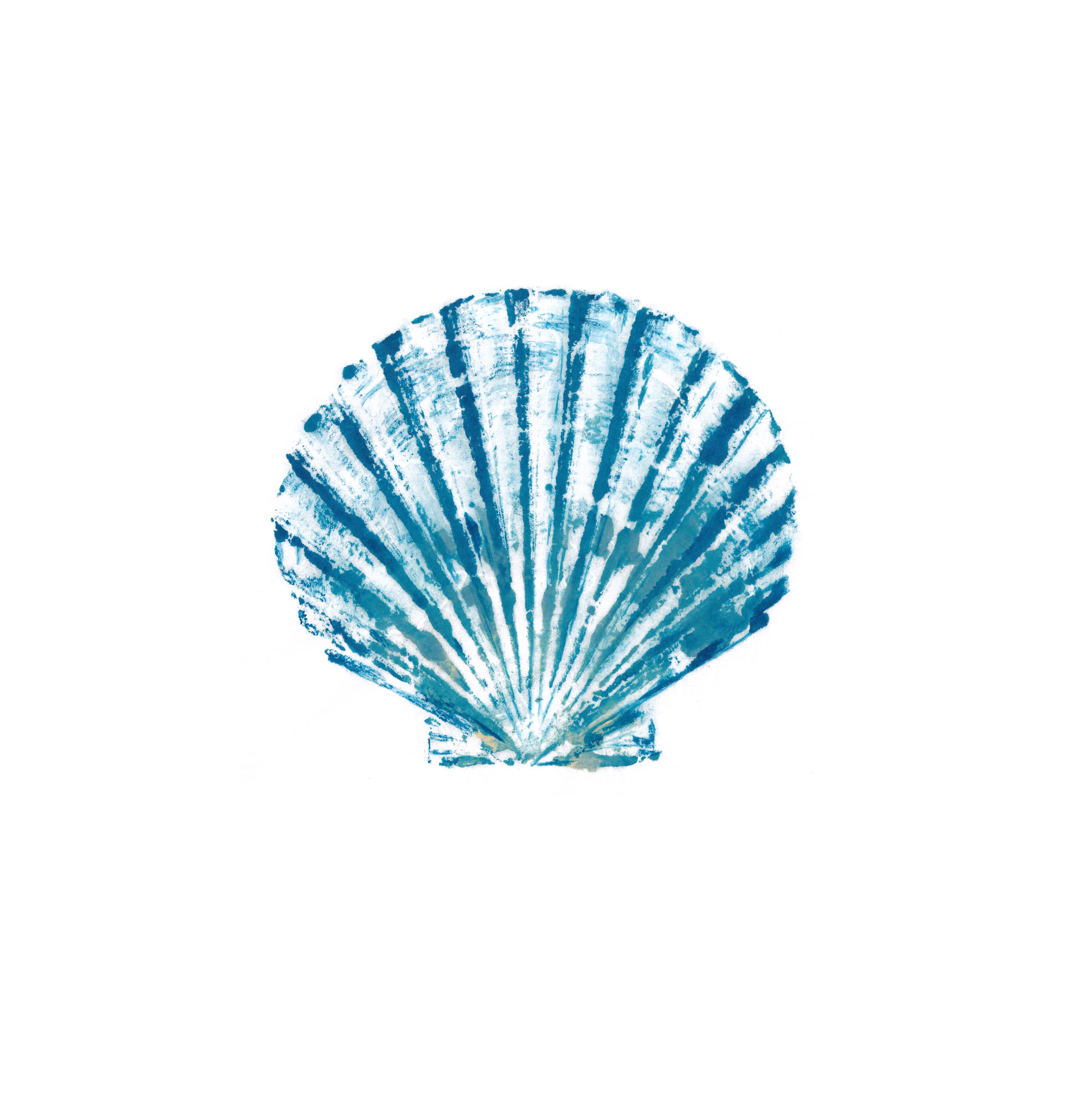 Scallop Shell — Gyotaku print by Bridget Sawitsky