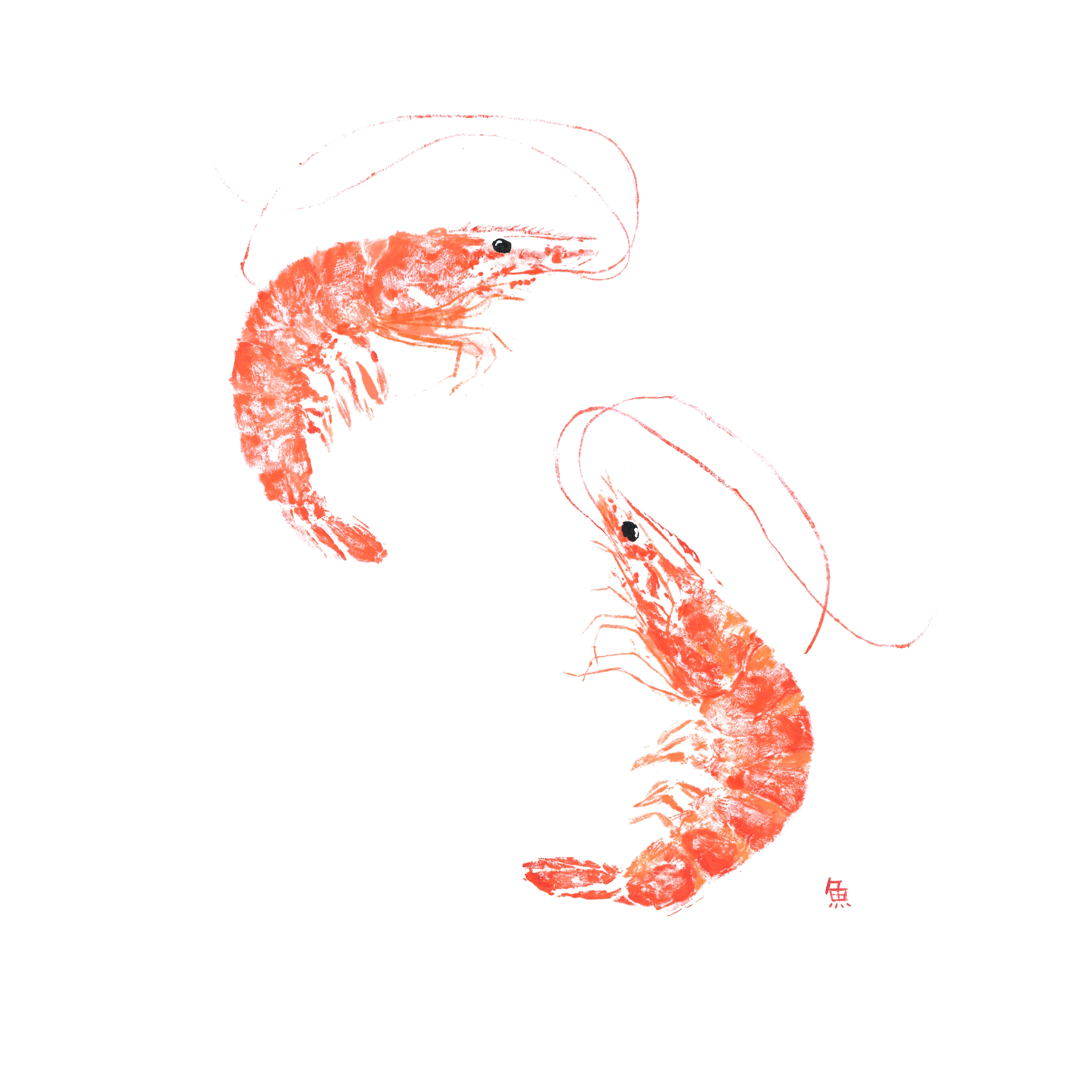 Shrimp Duo — Gyotaku print by Bridget Sawitsky