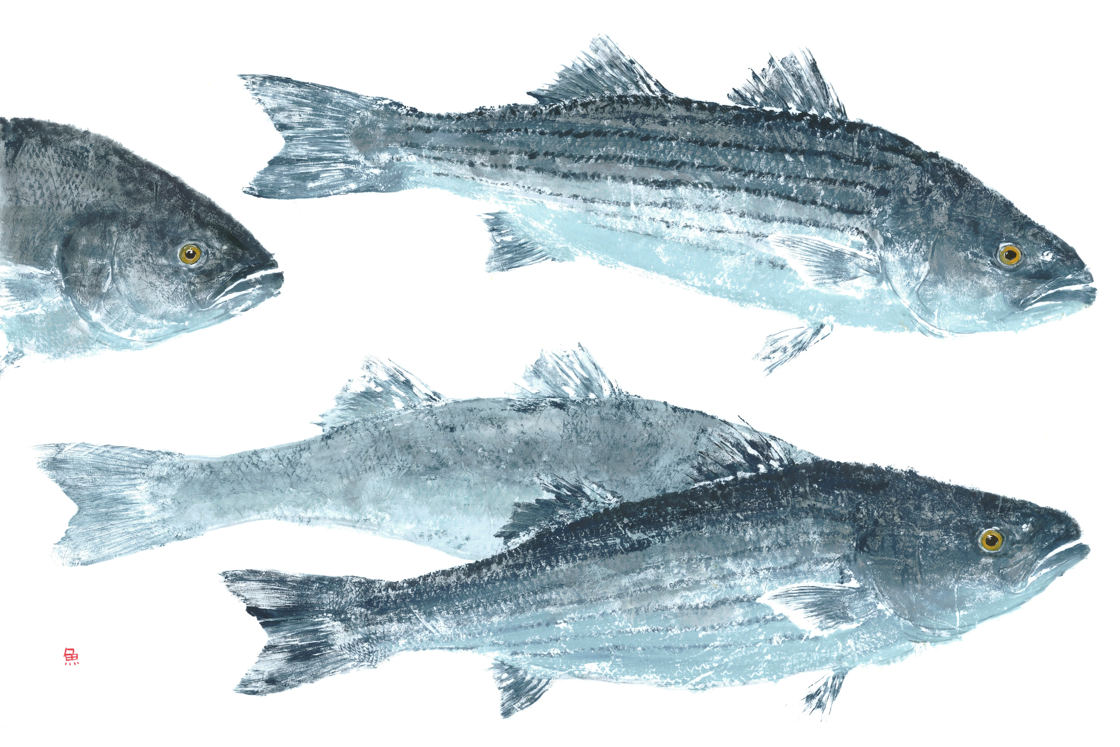 Striper School — Gyotaku school print by Bridget Sawitsky