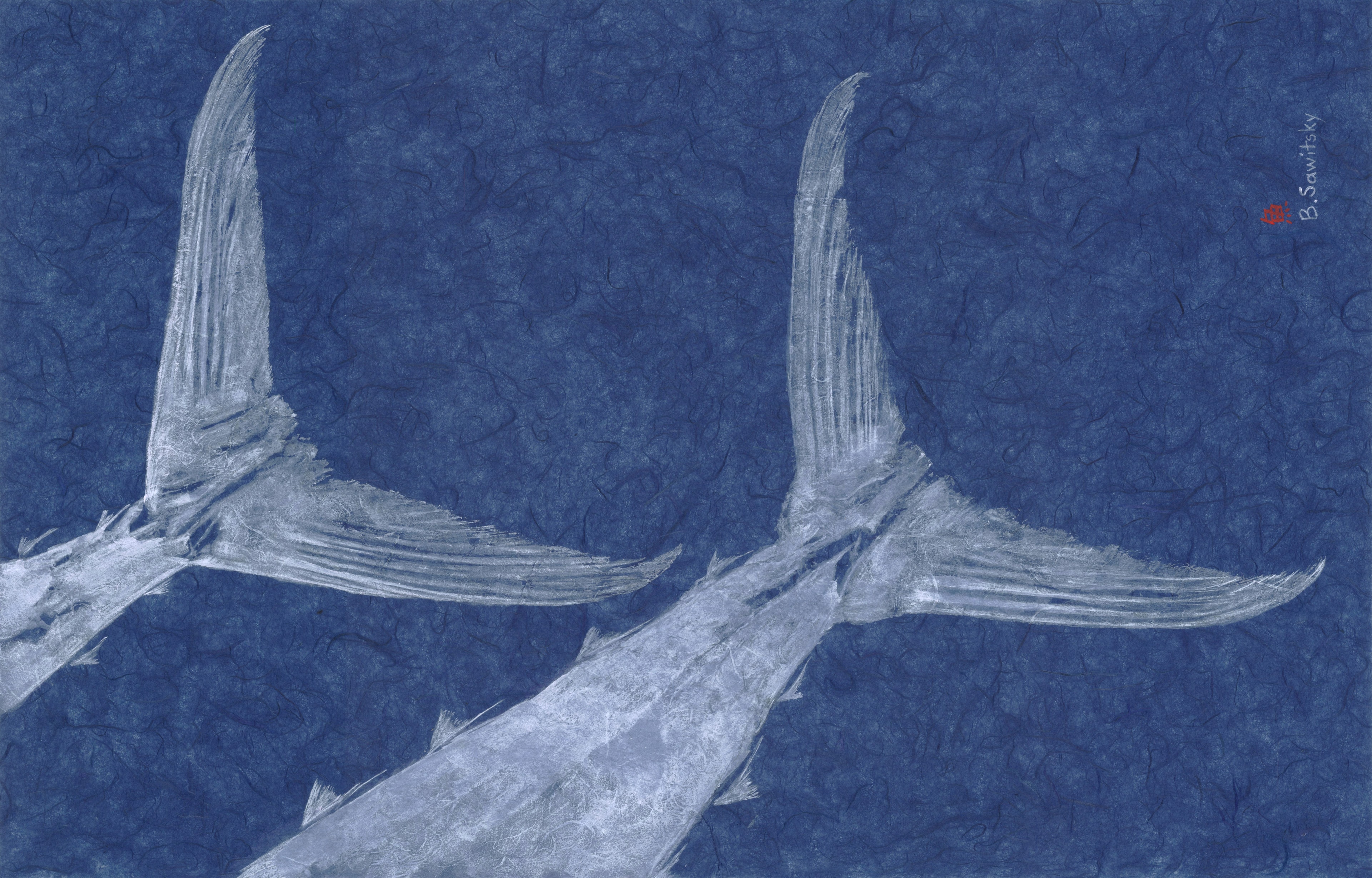 Swimming Tuna Tails — Gyotaku school print by Bridget Sawitsky