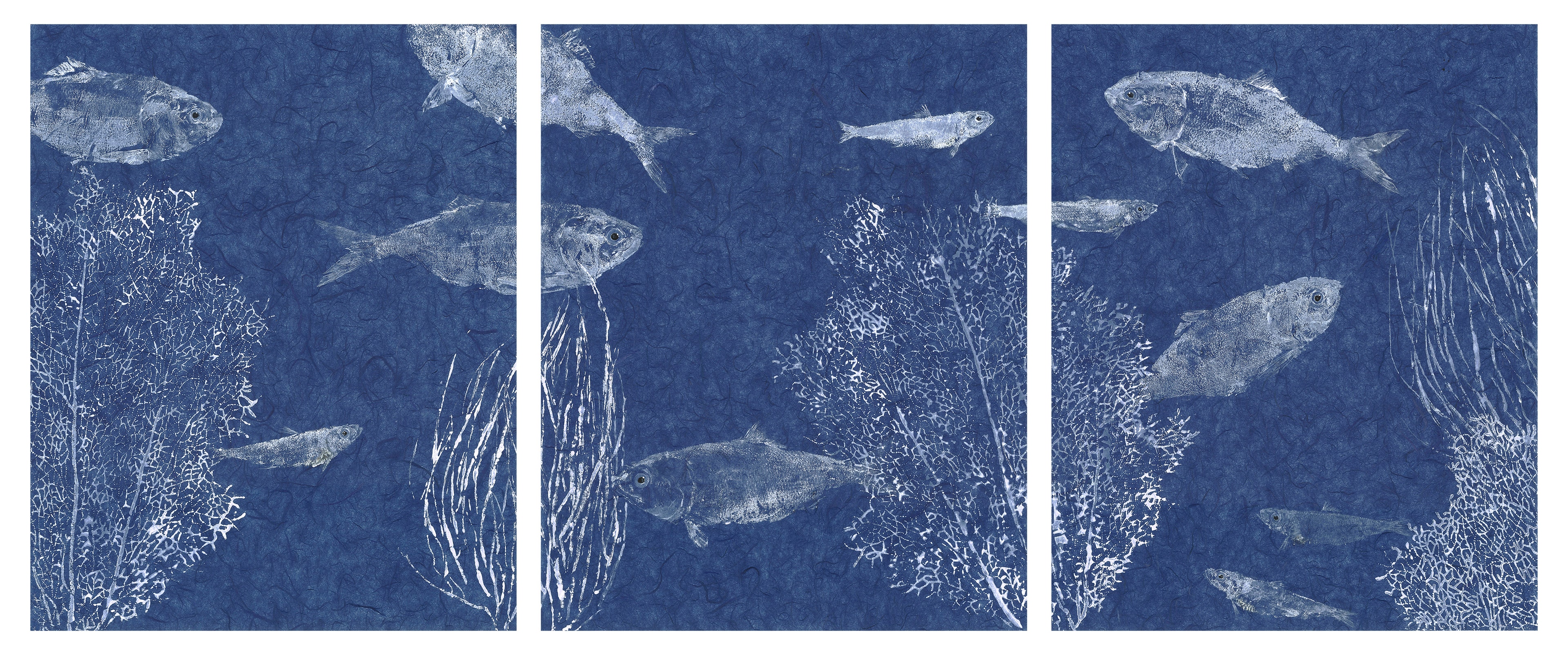 White Fish on Blue — Gyotaku triptych by Bridget Sawitsky