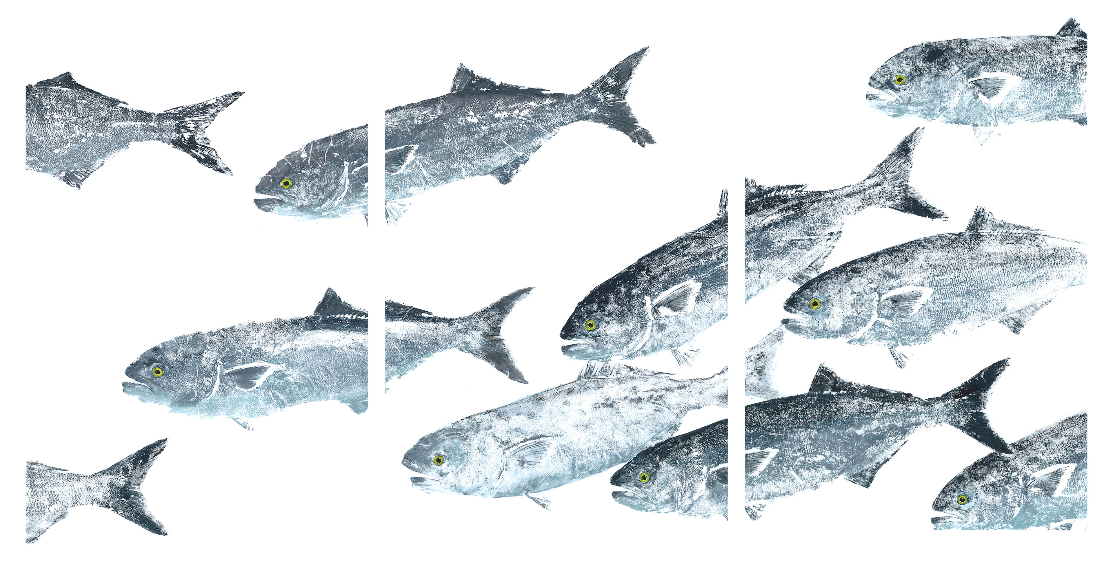 Bluefish School — Gyotaku triptych by Bridget Sawitsky