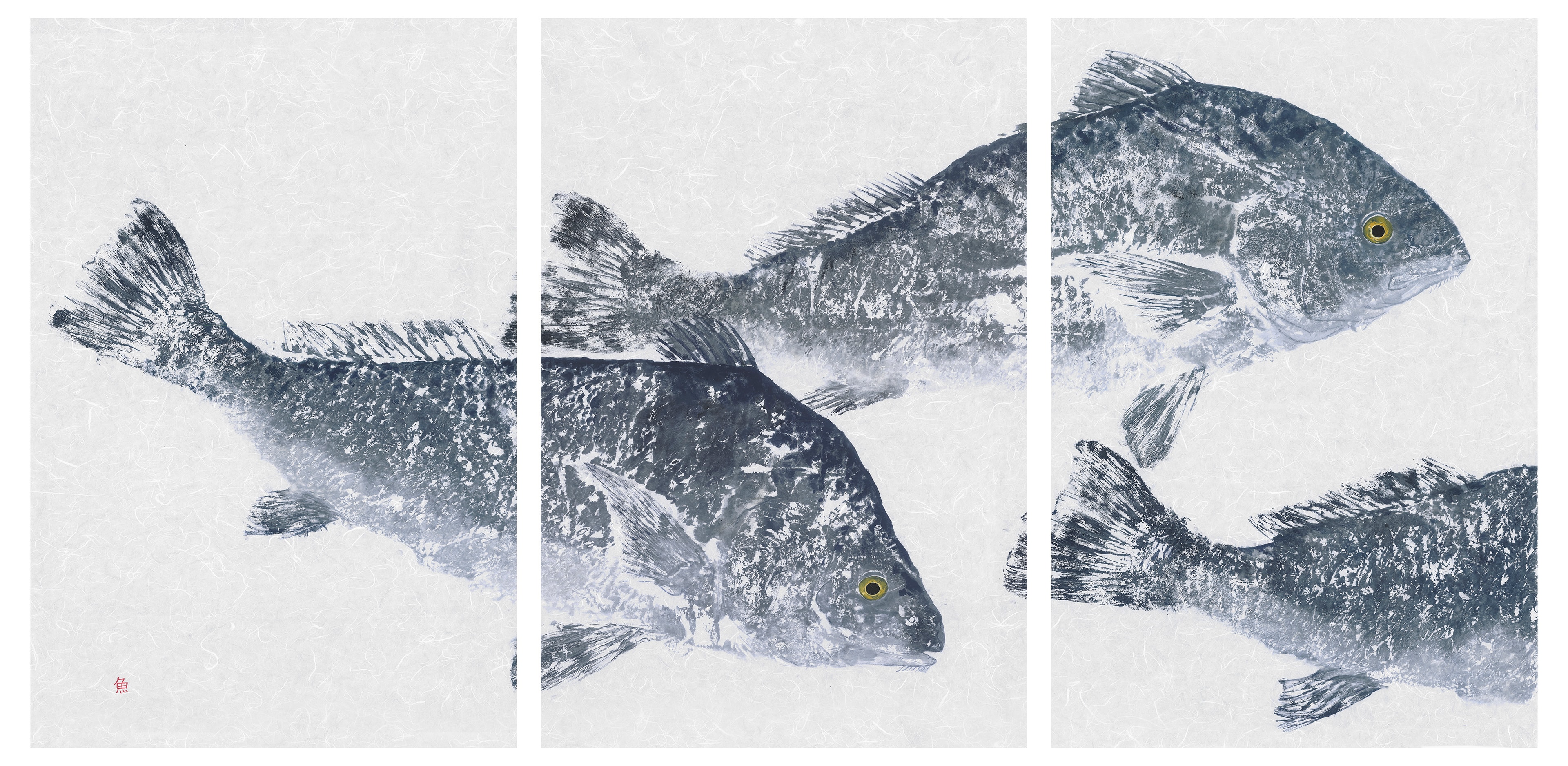 Finished drumfish triptych gyotaku print