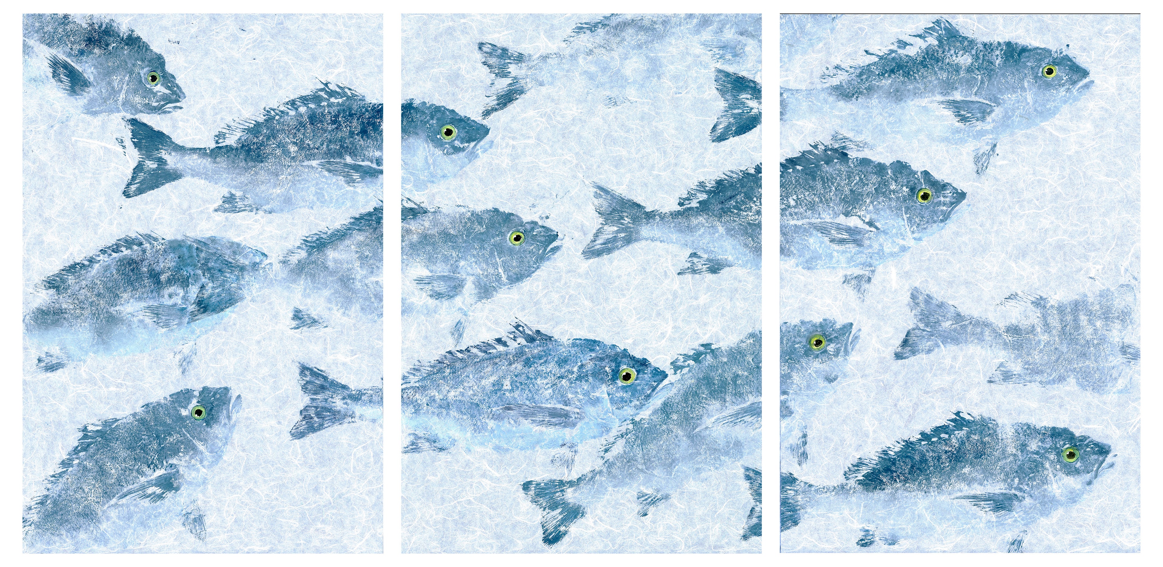 Blue Snapper School — Gyotaku triptych by Bridget Sawitsky