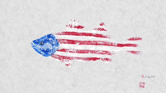 USA Flag Fish (gray paper) — Gyotaku print by Bridget Sawitsky