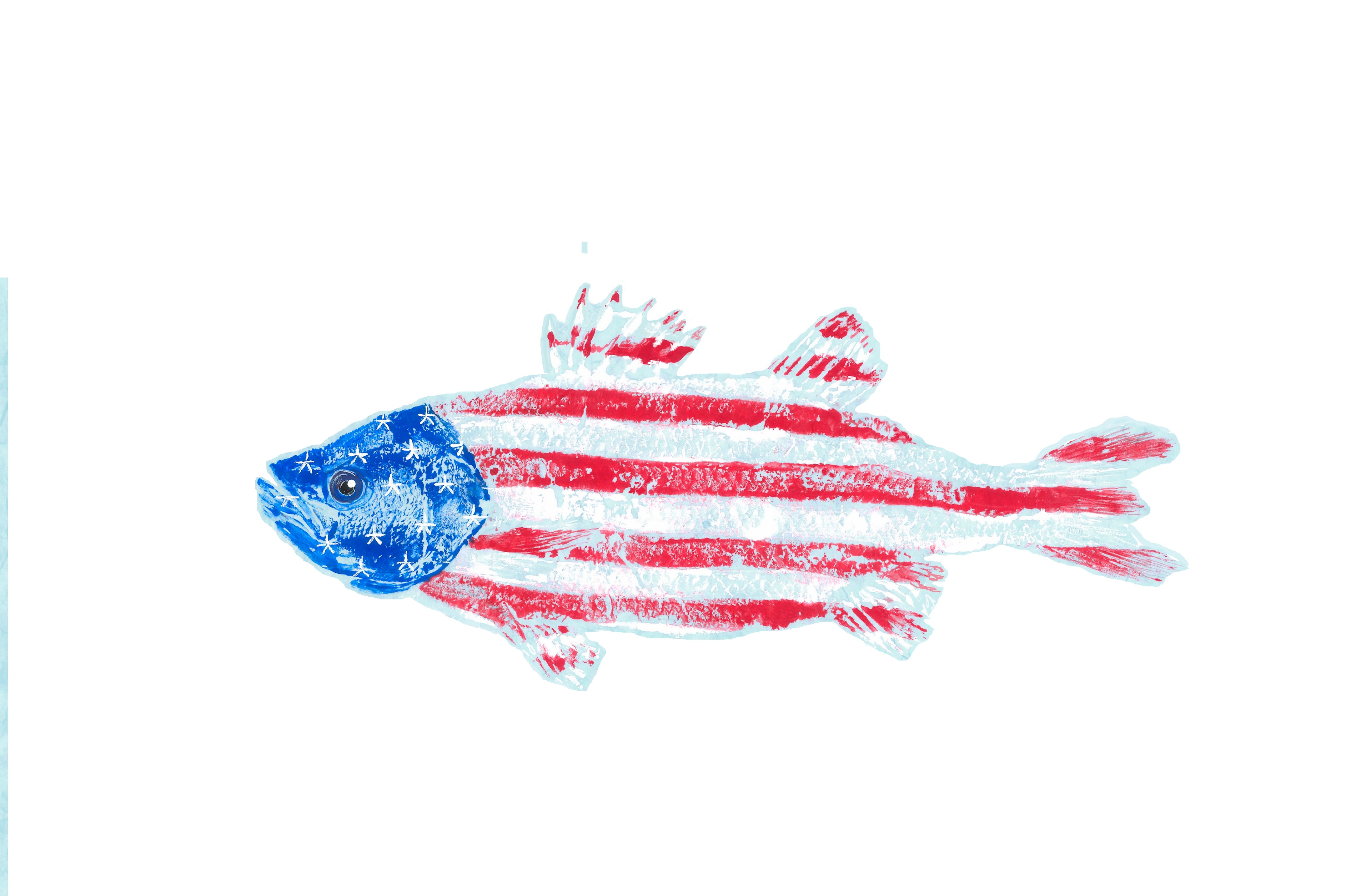 USA Flag Fish (white) — Gyotaku print by Bridget Sawitsky