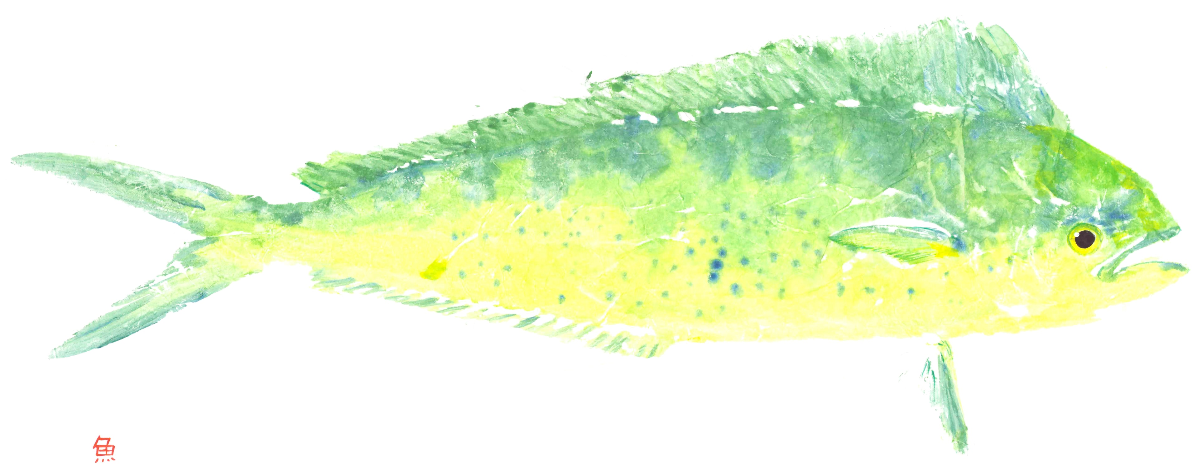 Mahi-mahi (watercolor) — Gyotaku print by Bridget Sawitsky