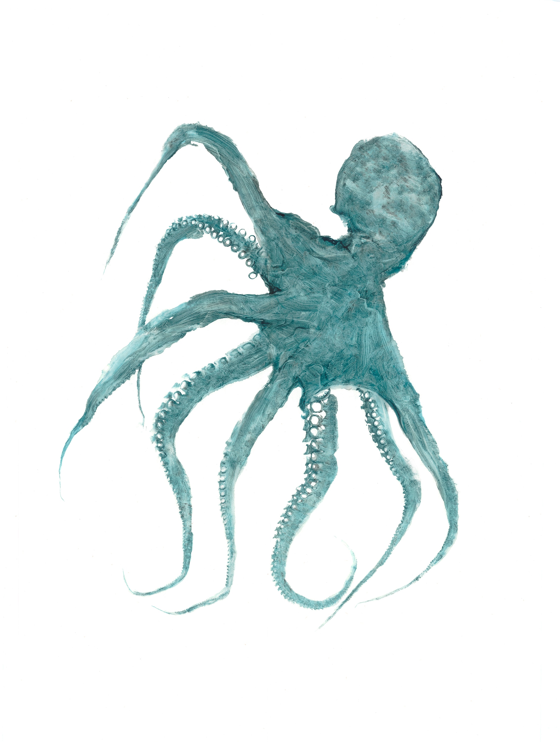 Octopus — Gyotaku print by Bridget Sawitsky