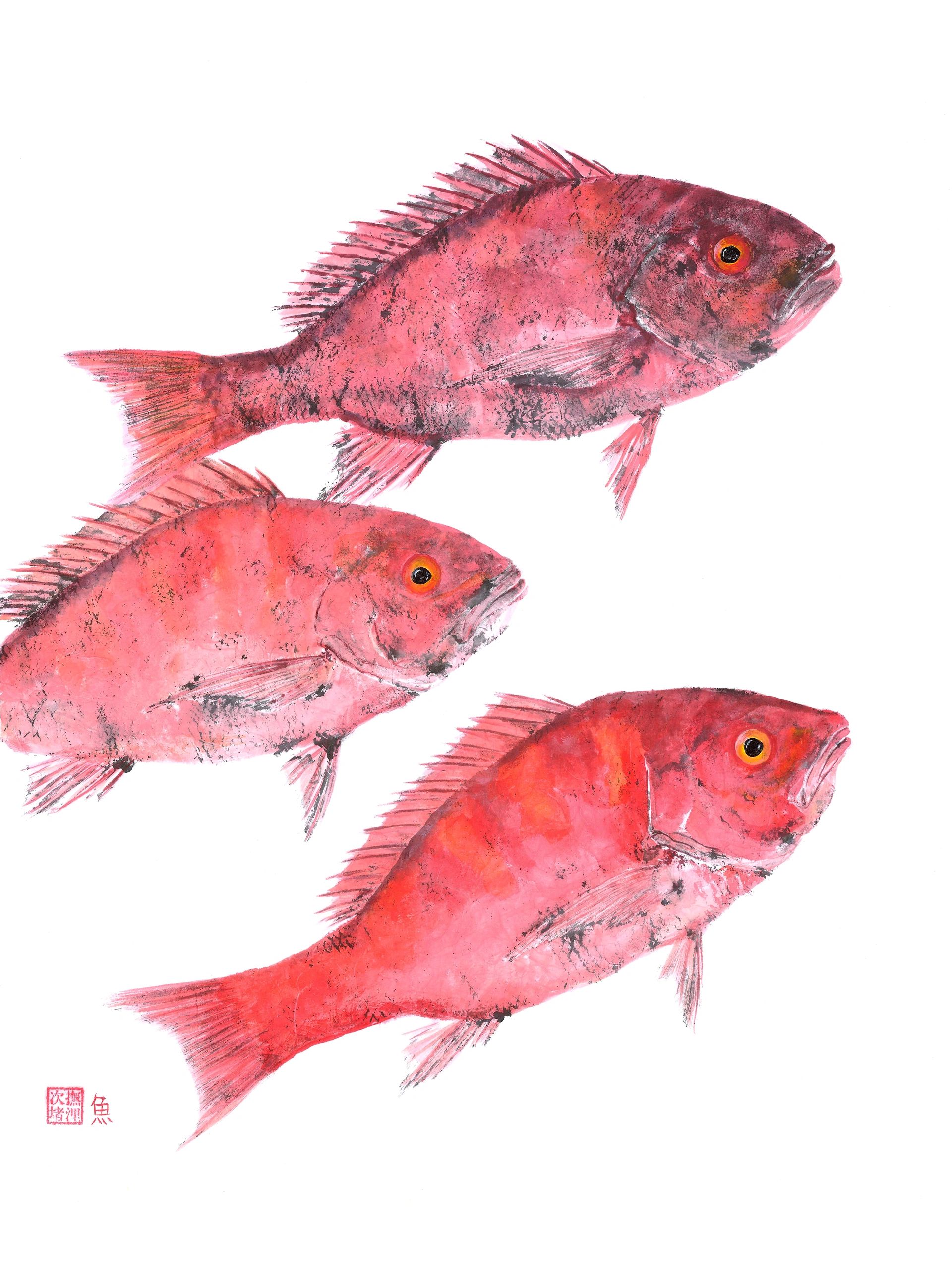 3 Red Fish — Gyotaku giclee print by Bridget Sawitsky