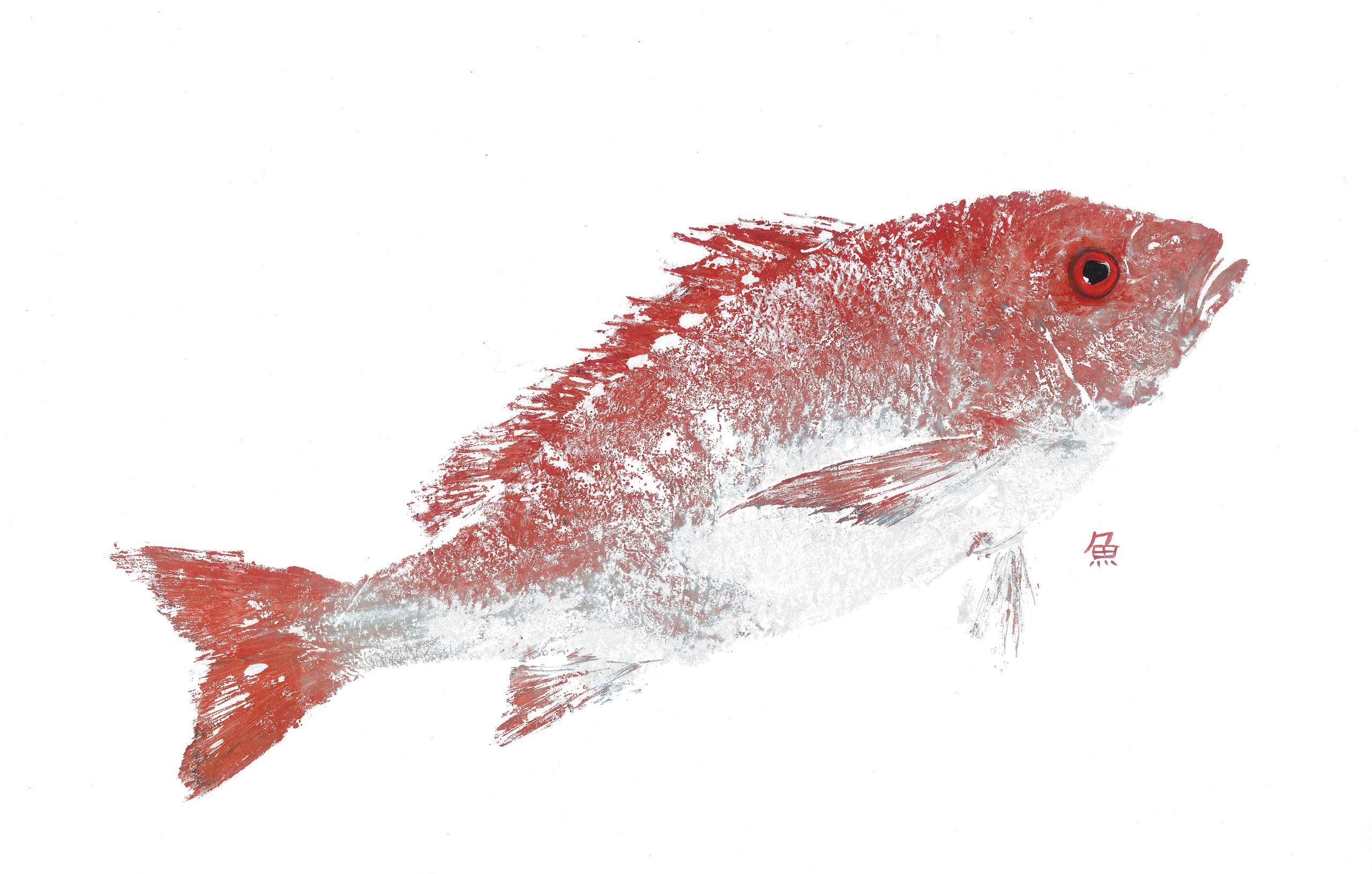Red Snapper — Gyotaku giclee print by Bridget Sawitsky