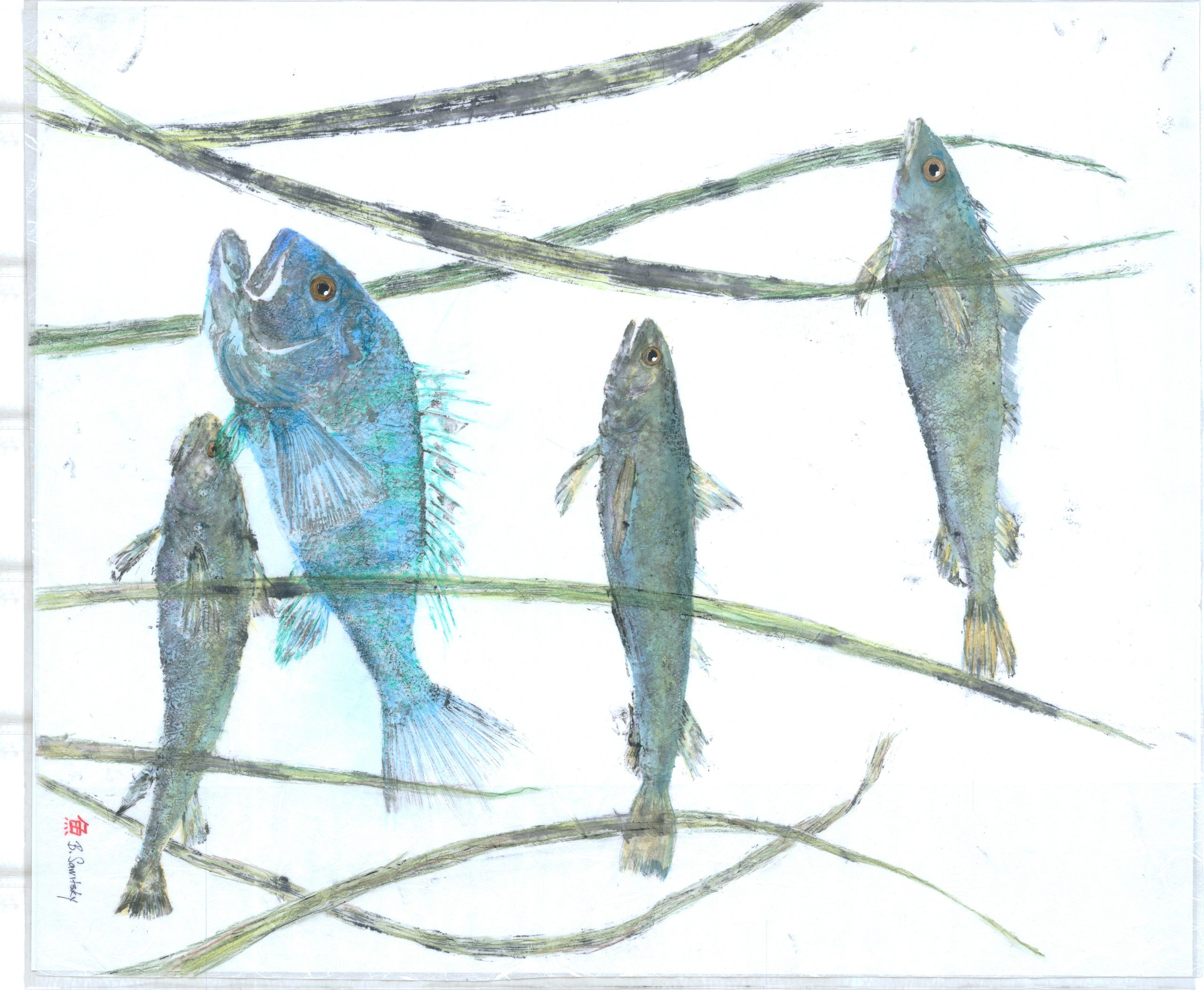 Fish in Sea Grass — Gyotaku giclee print by Bridget Sawitsky
