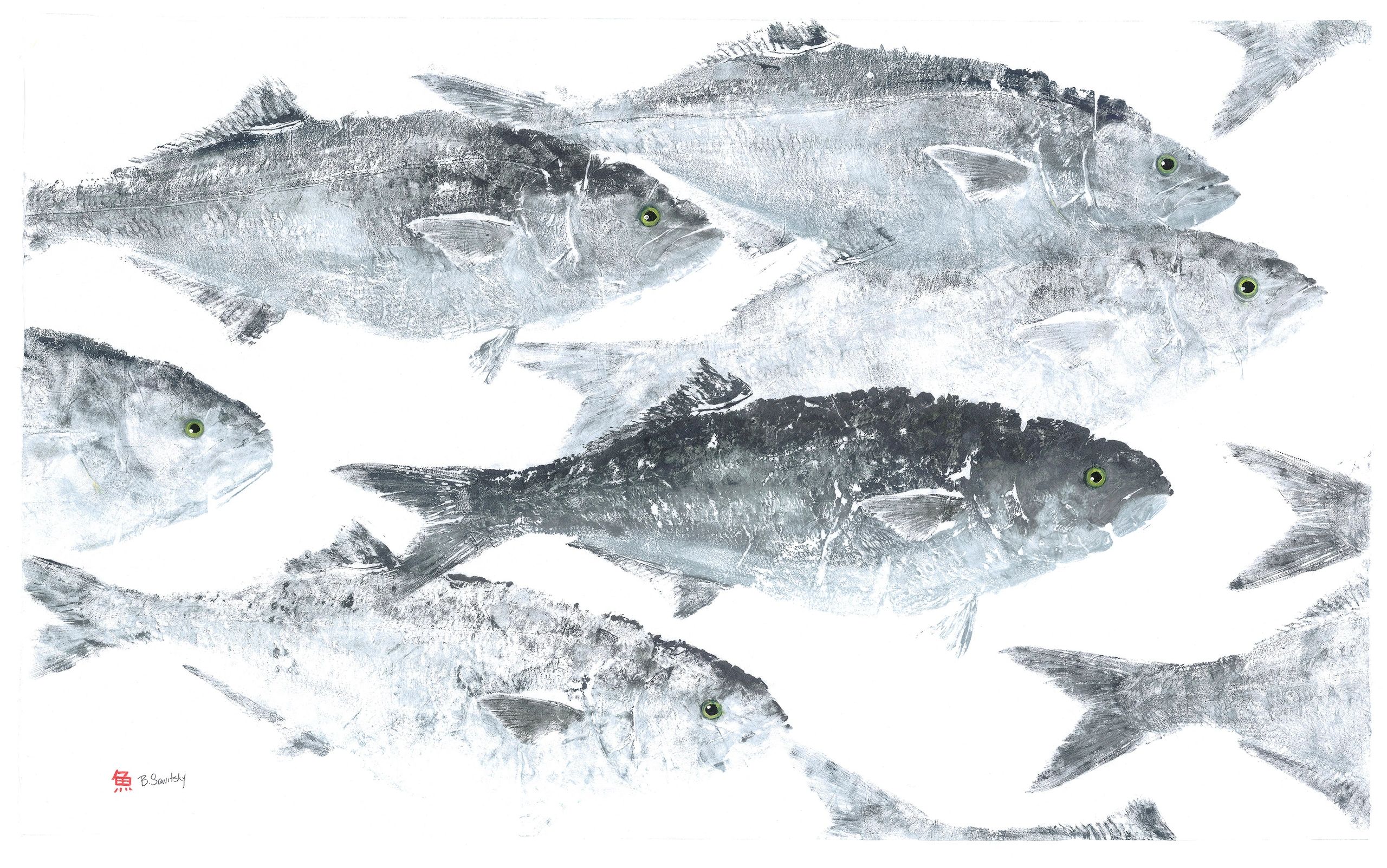 Large Bluefish School — Gyotaku giclee print by Bridget Sawitsky