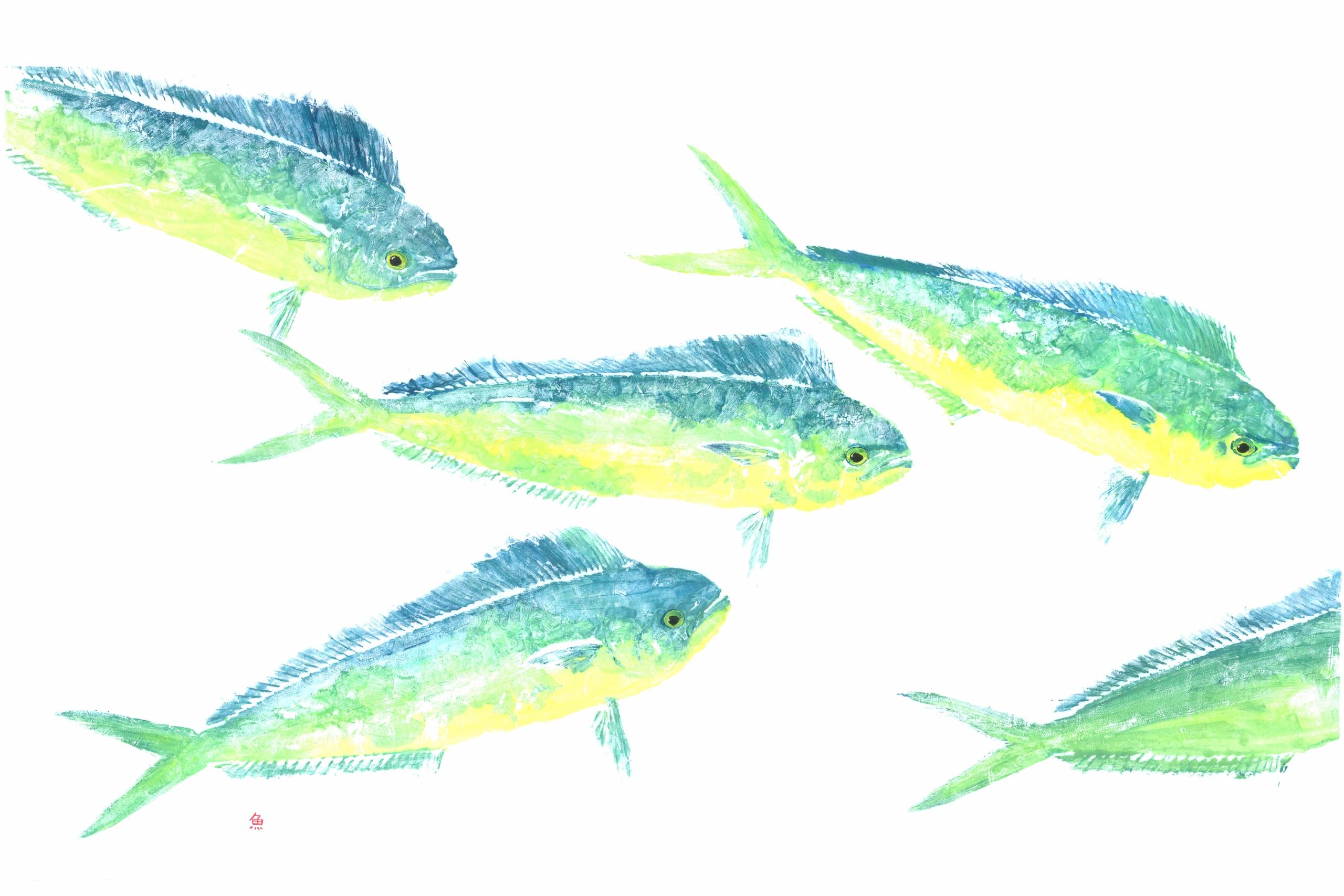 Mahi-Mahi School — Gyotaku giclee print by Bridget Sawitsky