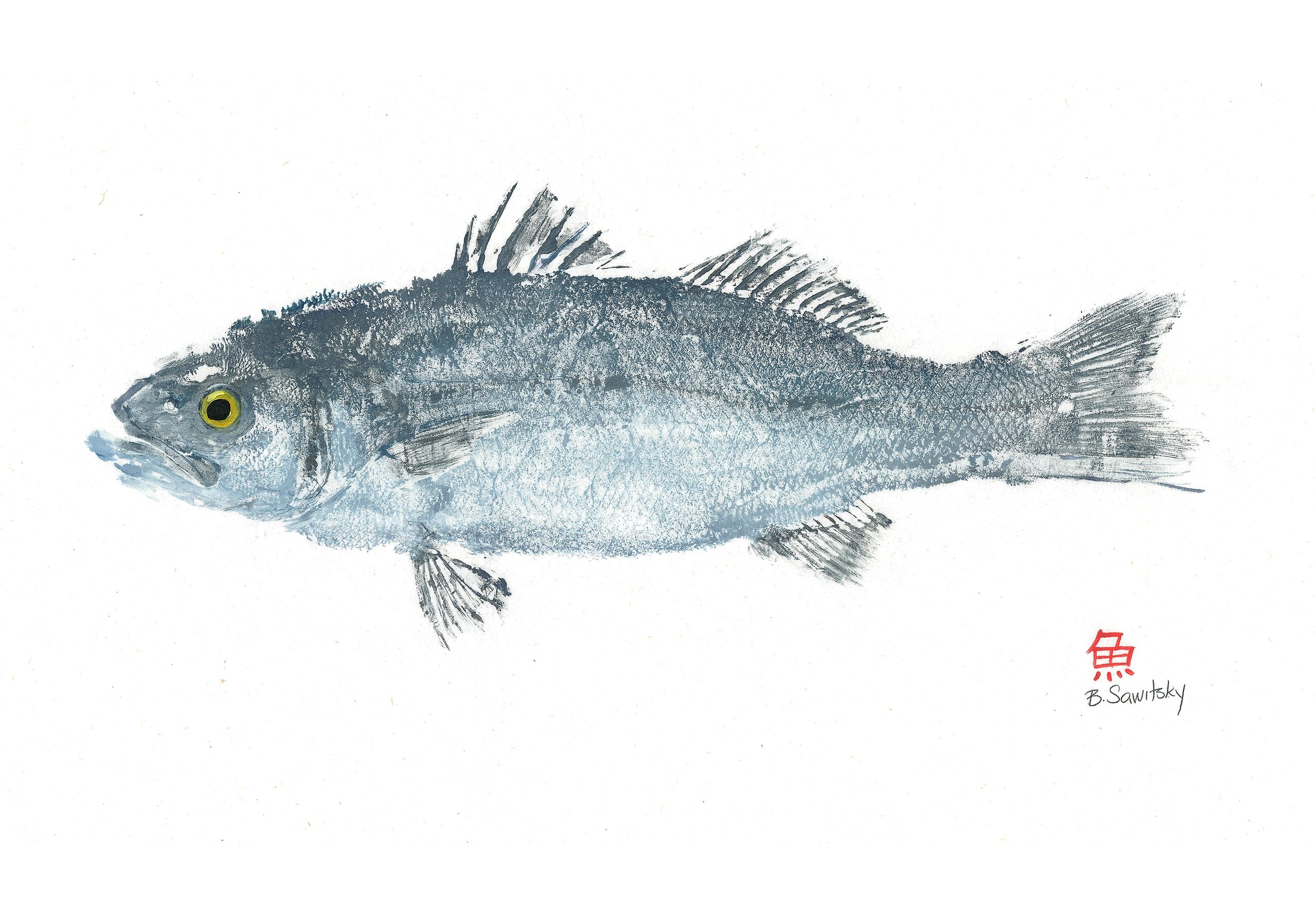 Branzino — Gyotaku giclee print by Bridget Sawitsky