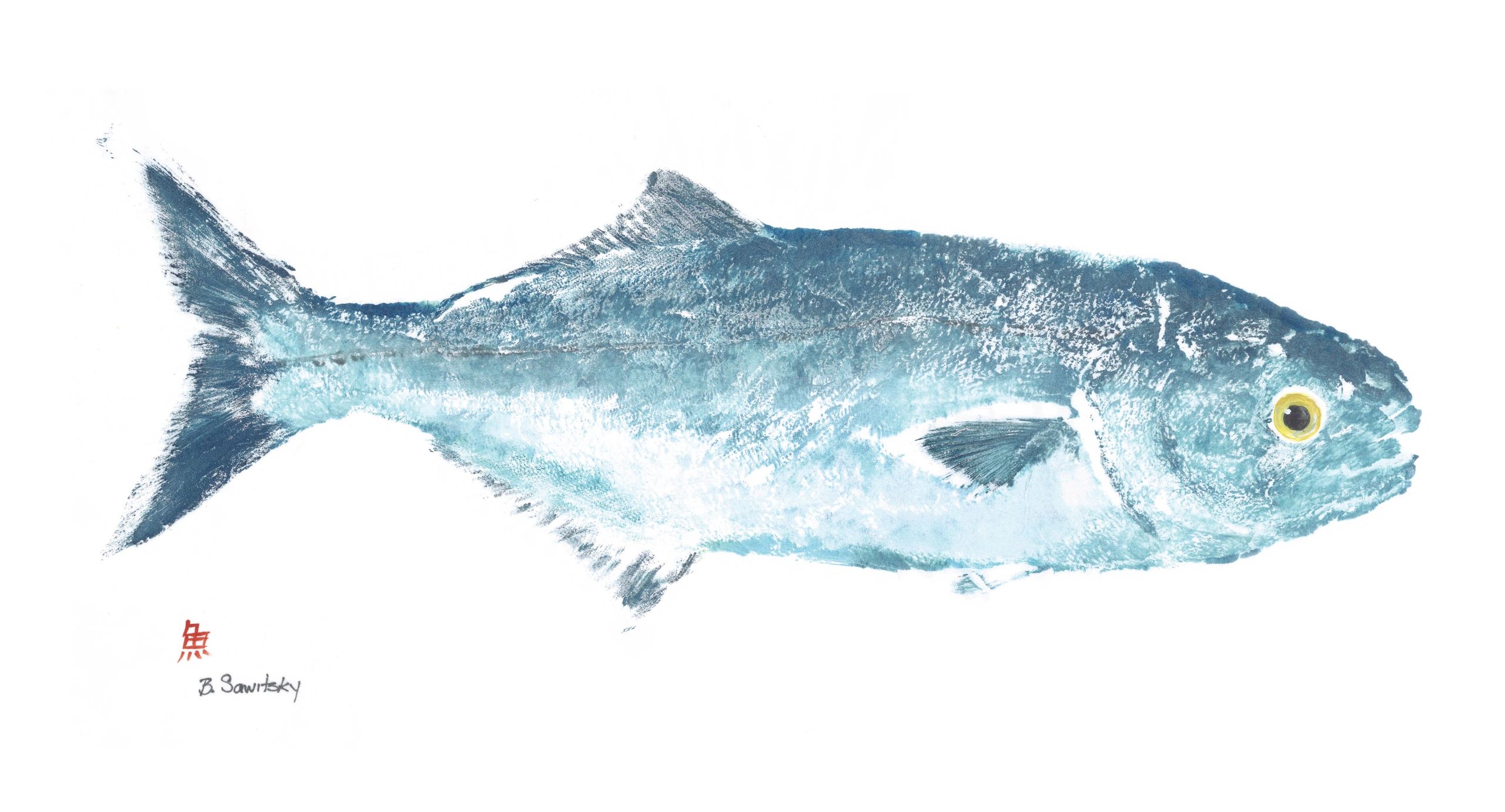 Bluefish — Gyotaku giclee print by Bridget Sawitsky