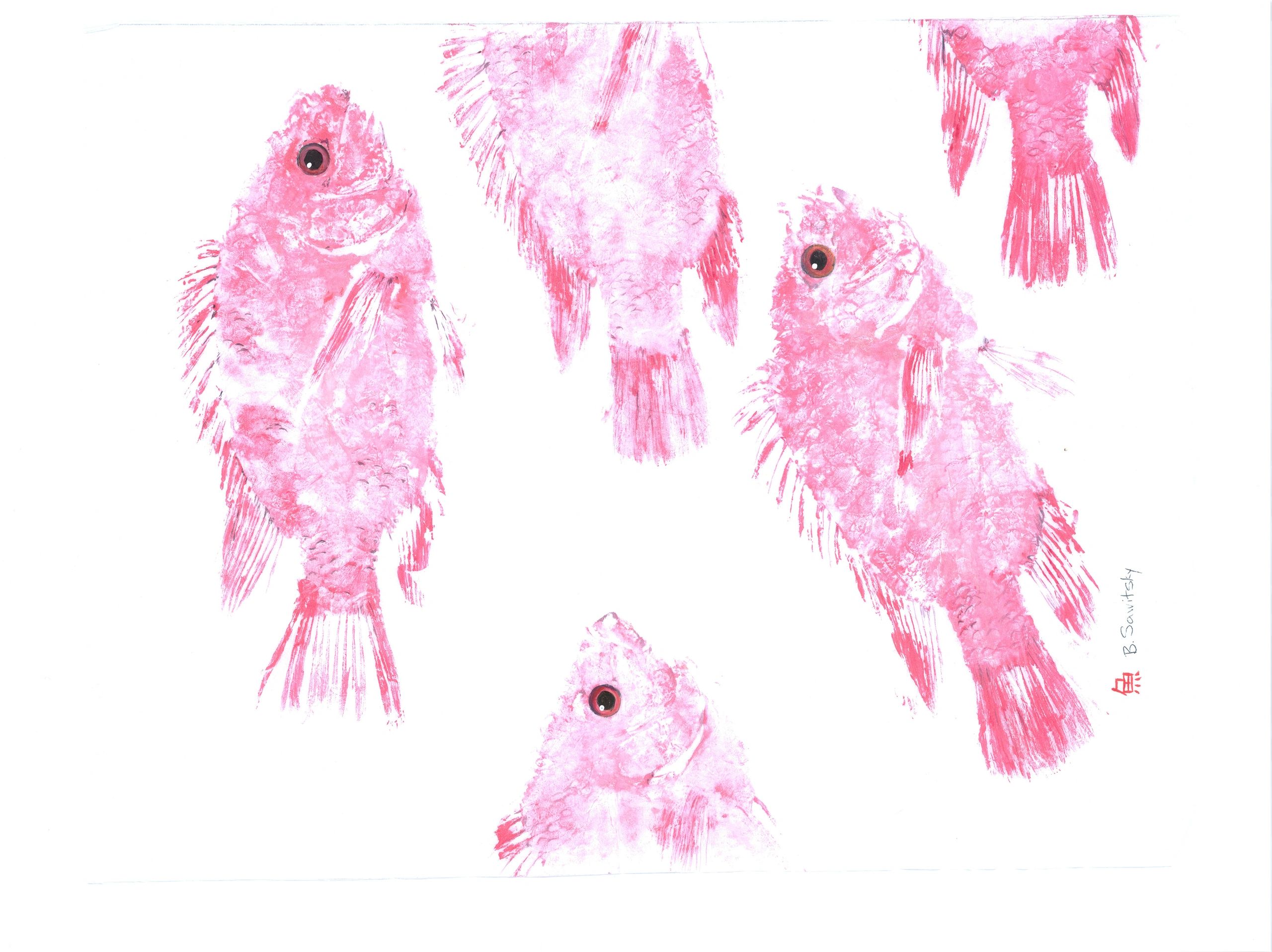 Pink Tilapia School — Gyotaku giclee print by Bridget Sawitsky