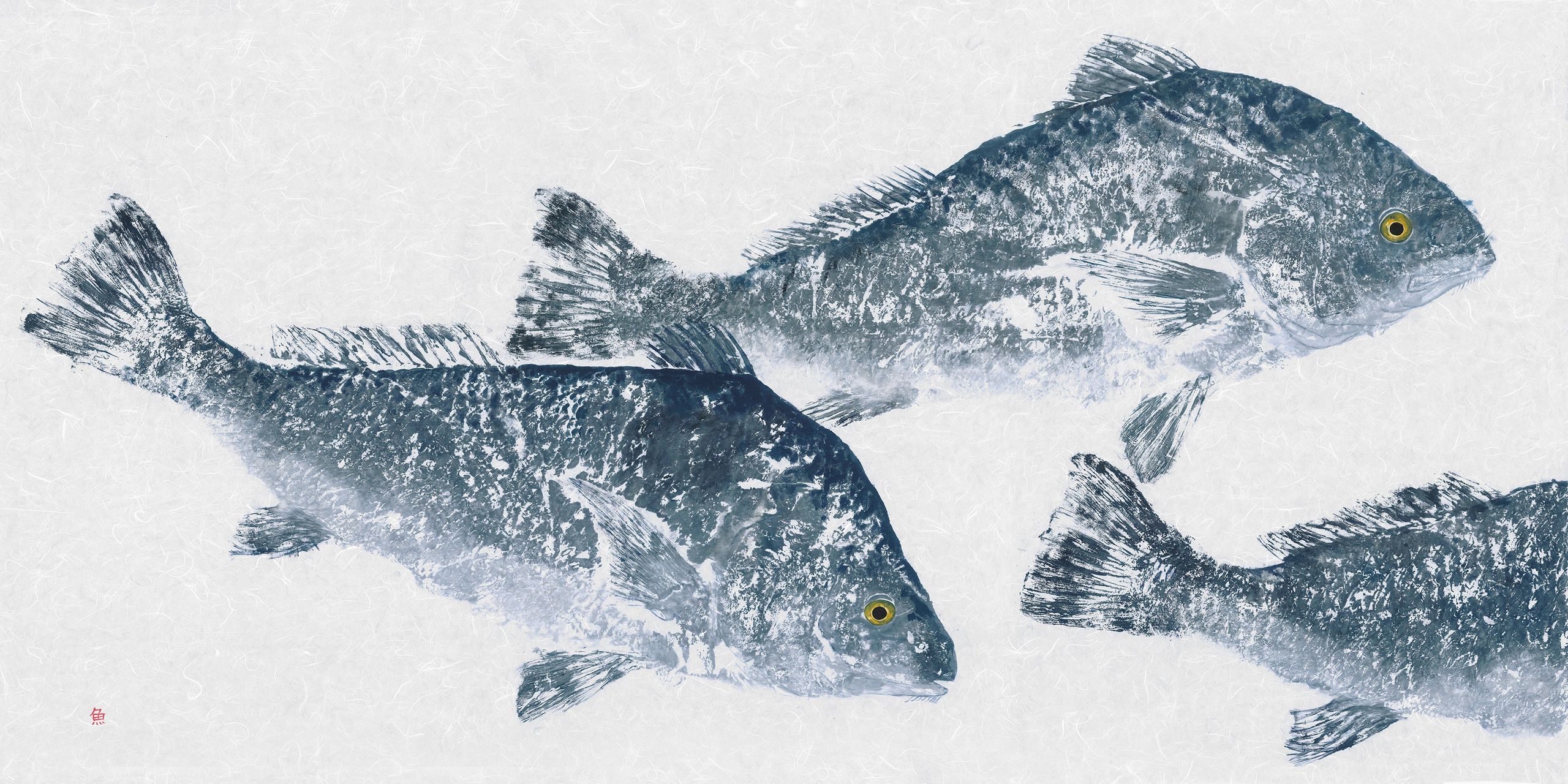 Drumfish Trio — Gyotaku giclee print by Bridget Sawitsky