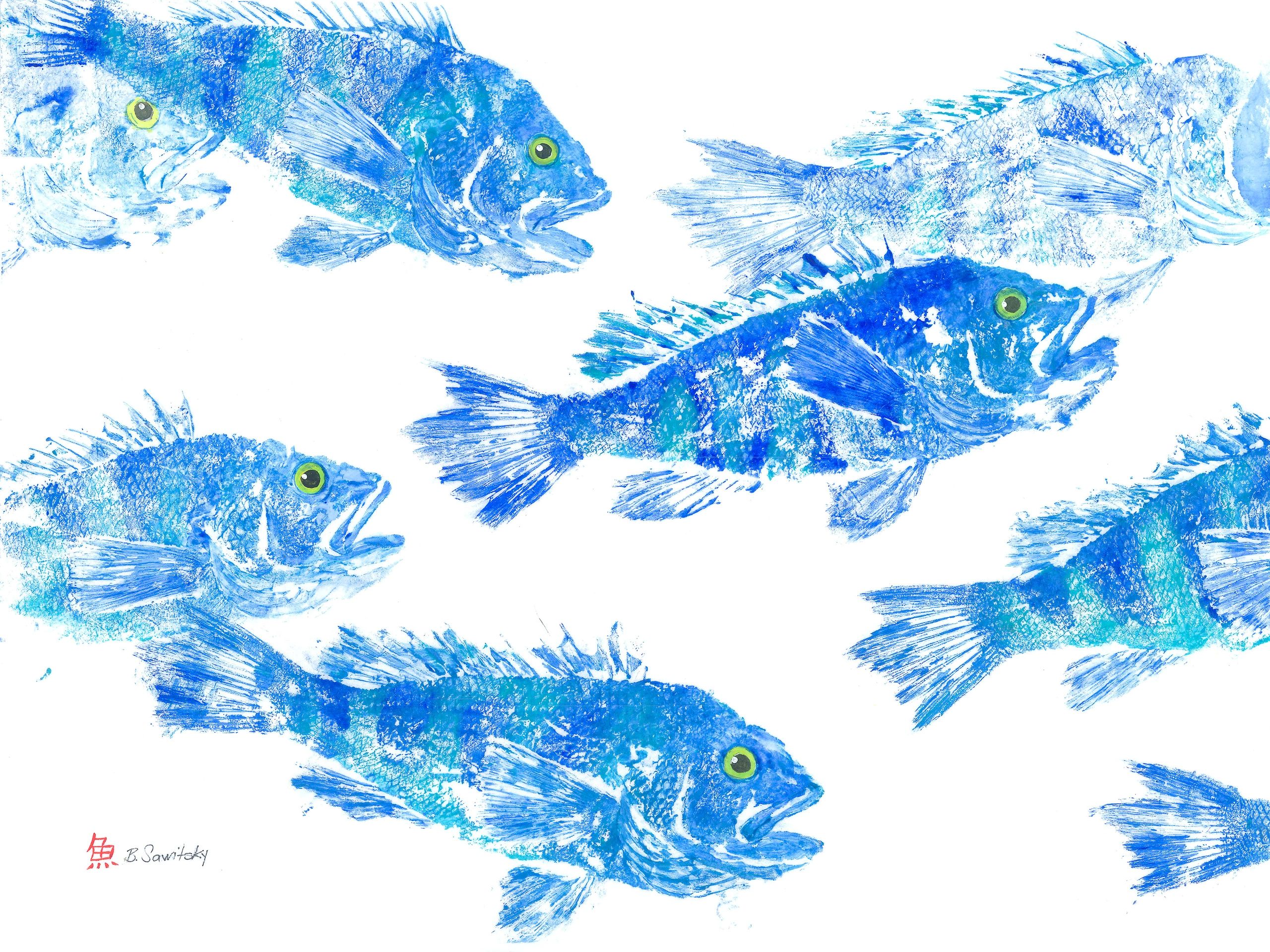 Sea Bass School — Gyotaku giclee print by Bridget Sawitsky