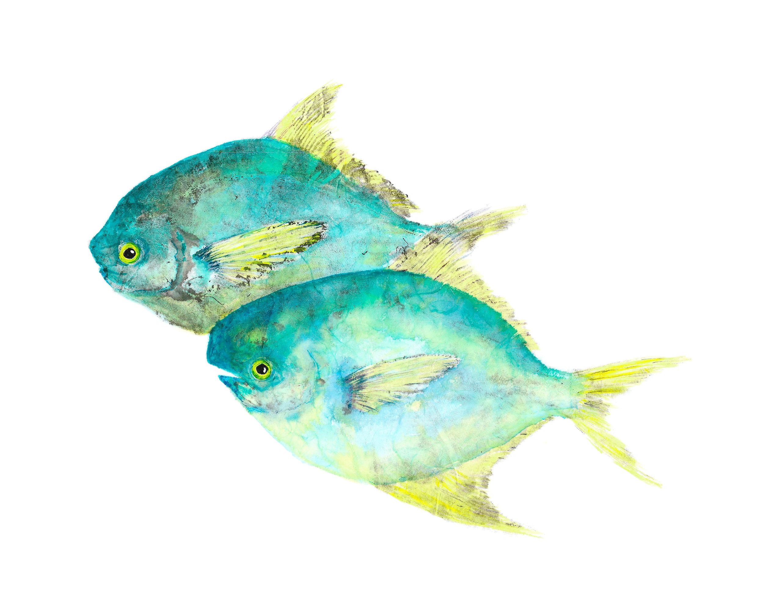 Pompano Duo — Gyotaku giclee print by Bridget Sawitsky