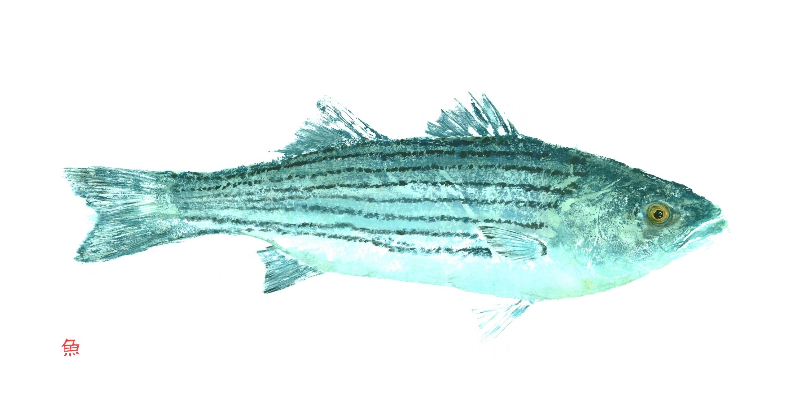 Striper (Blue) — Gyotaku giclee print by Bridget Sawitsky